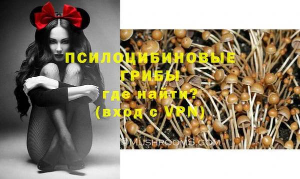 дмт Надым