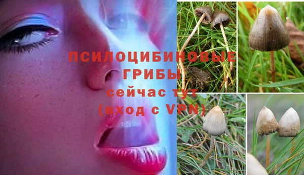 дмт Надым