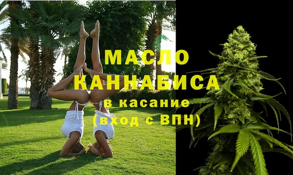 дмт Надым