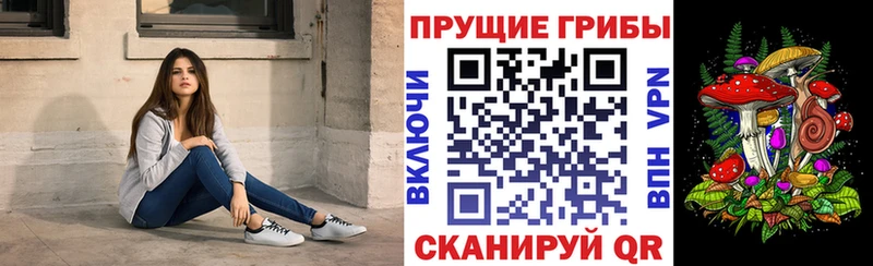 где продают наркотики  Ялуторовск  OMG вход  Галлюциногенные грибы MAGIC MUSHROOMS 